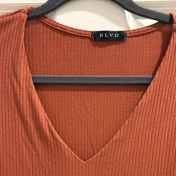 BLVD Terracotta V-Neck Bodysuit - Picture 2 of 7